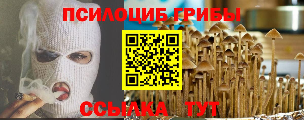 как найти   Вход с VPN  Рославль  Псилоцибиновые грибы прущие грибы  Псилоцибиновые грибы прущие грибы 